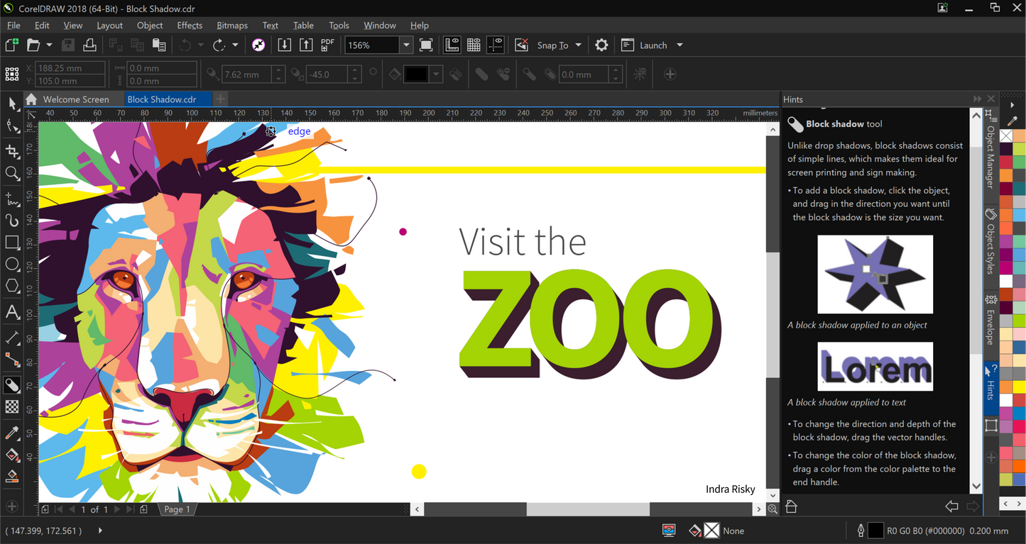 CorelDRAW Graphics Suite 2025 (Instant Download)