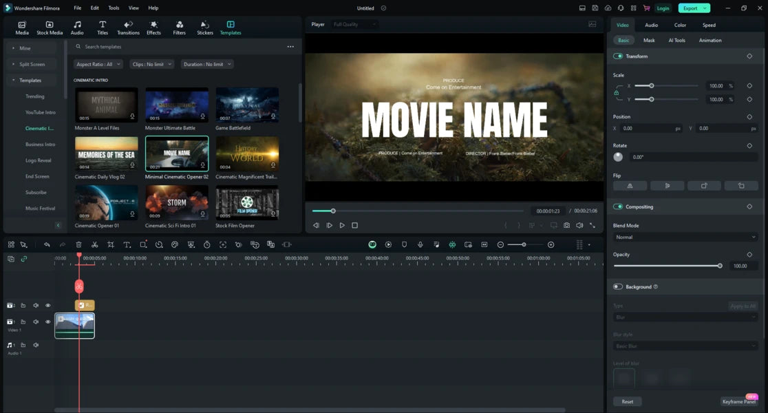 Wondershare Filmora 14 Lifetime License (Instant Download)