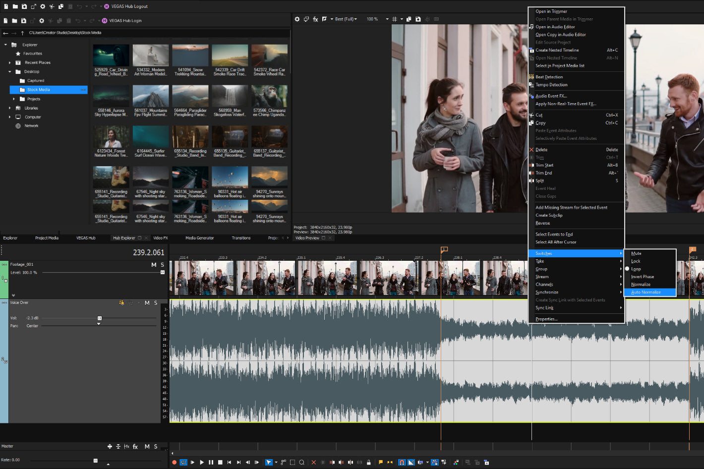 MAGIX VEGAS Pro 22 (Instant Download)
